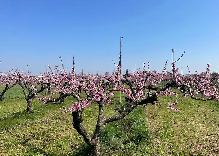 Agriturismo Corte Vecia Alloggio della Corte Verona